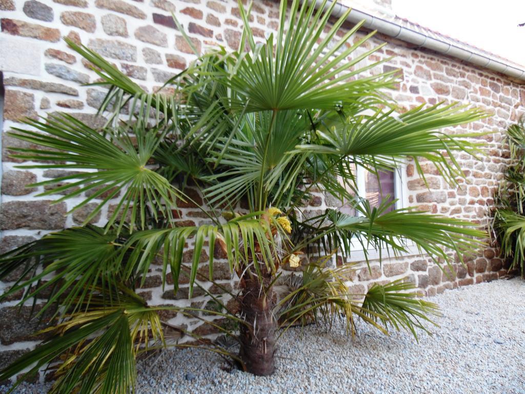Gites Mont Saint Michel Sains Exterior foto